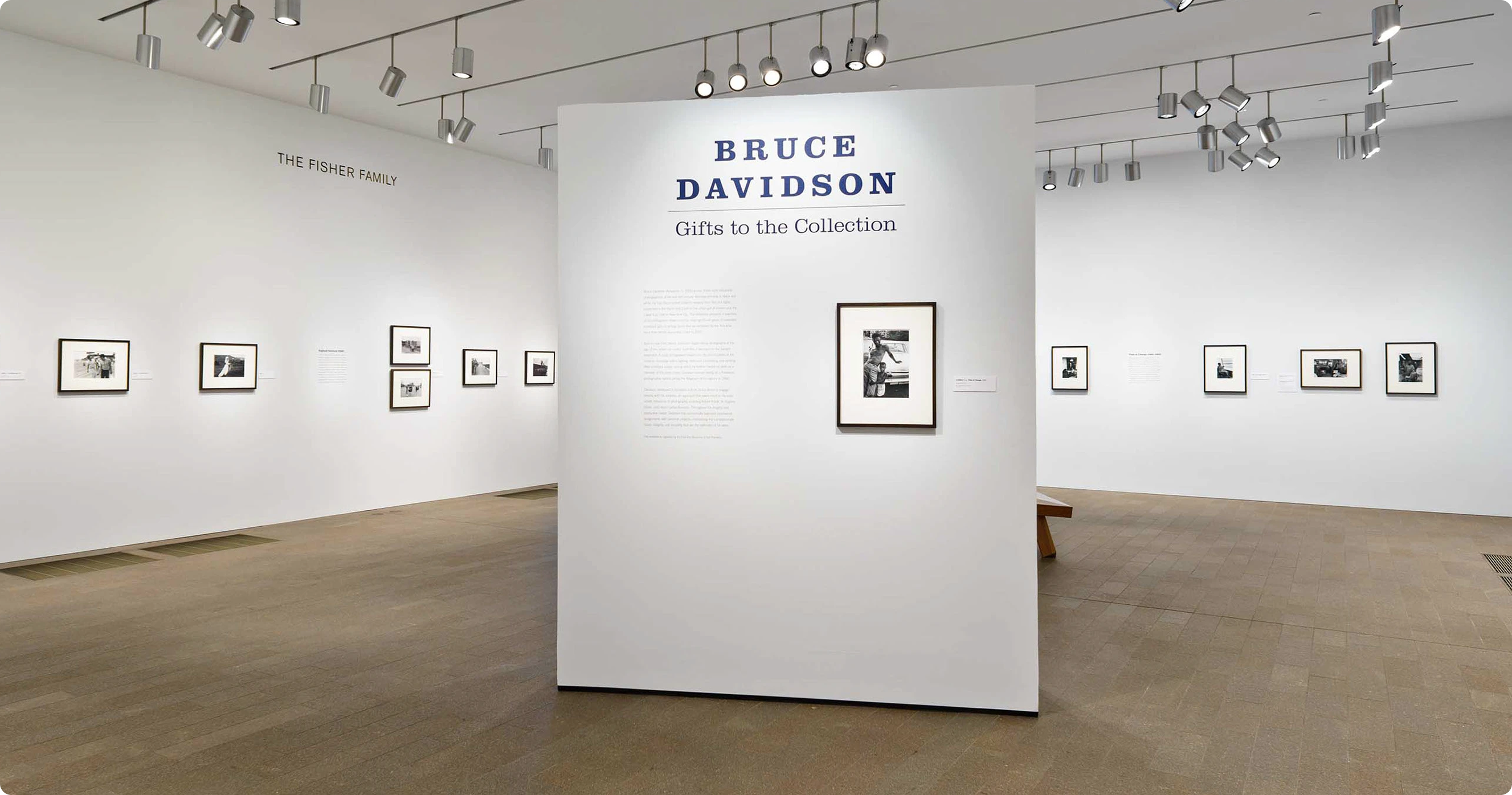 Bruce Davidson: Gifts to the Collection
