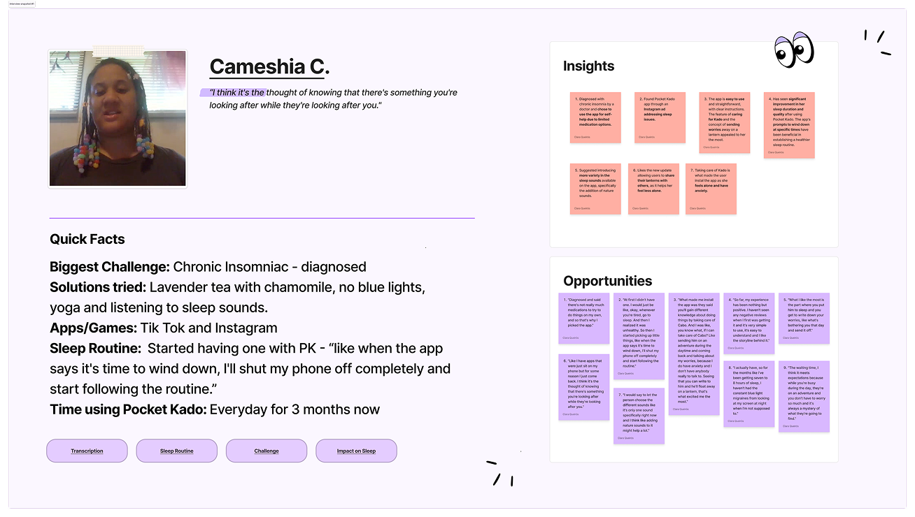 User interview snapshot