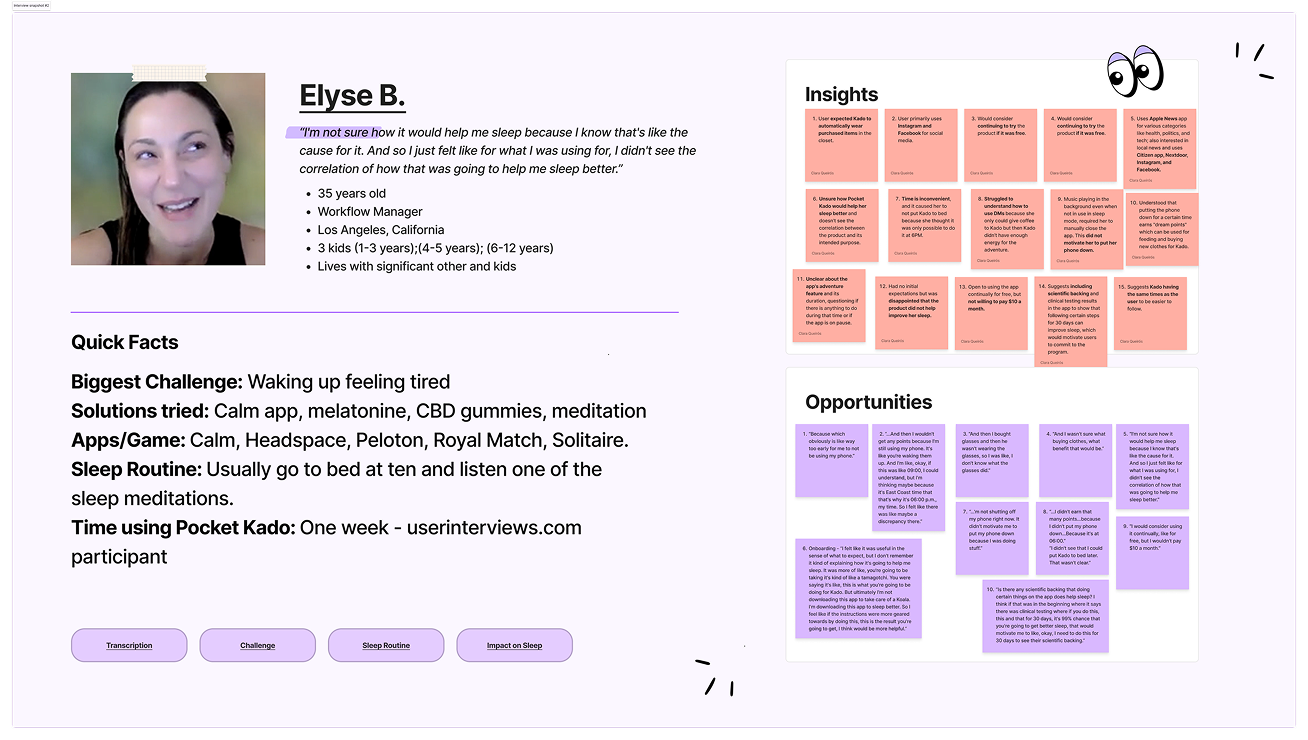 User interview snapshot
