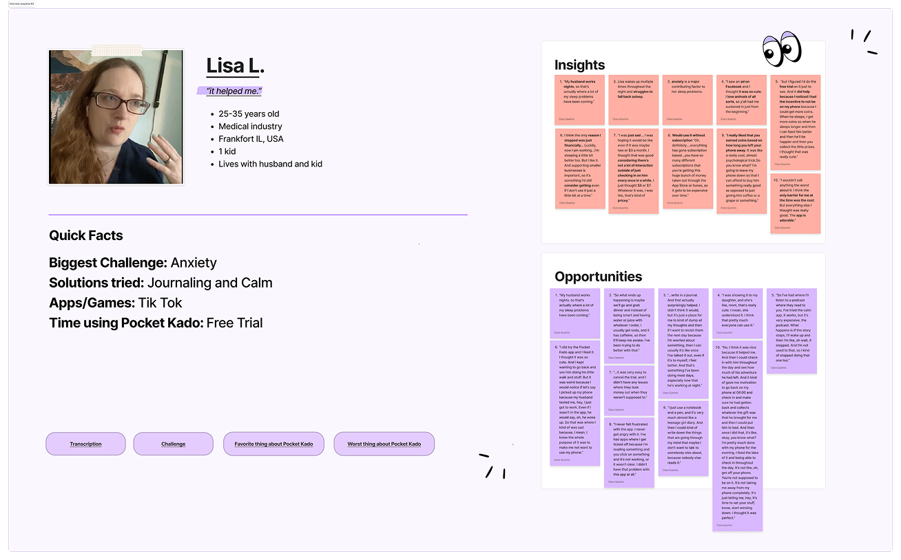 User interview snapshot